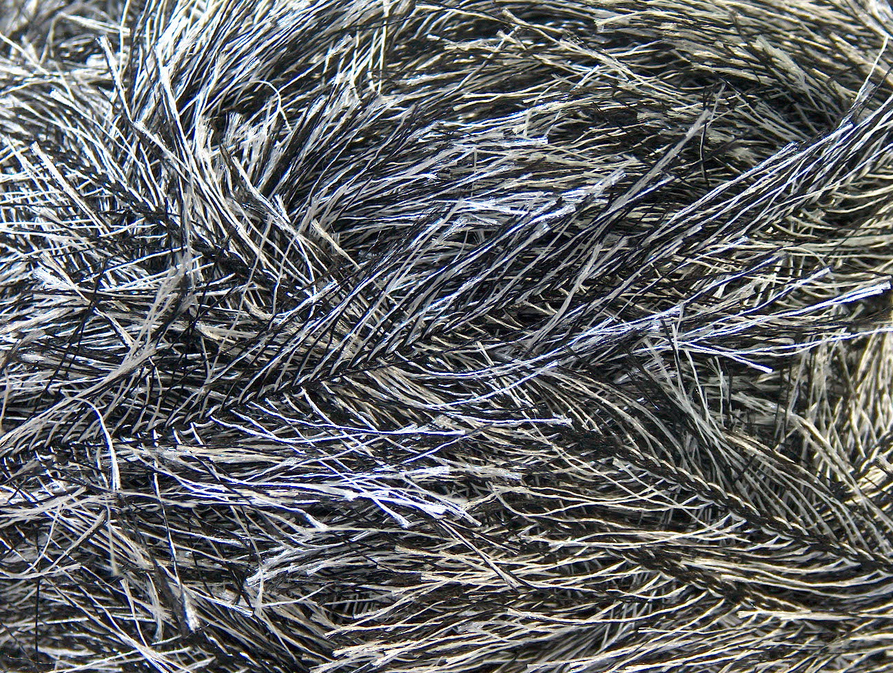 Cils 100gr