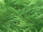 Cils 100gr