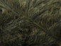Cils 100gr
