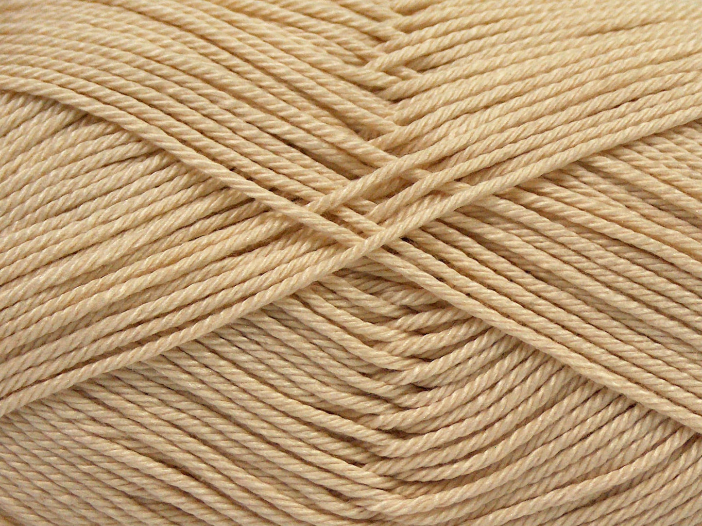 Coton de Gizeh