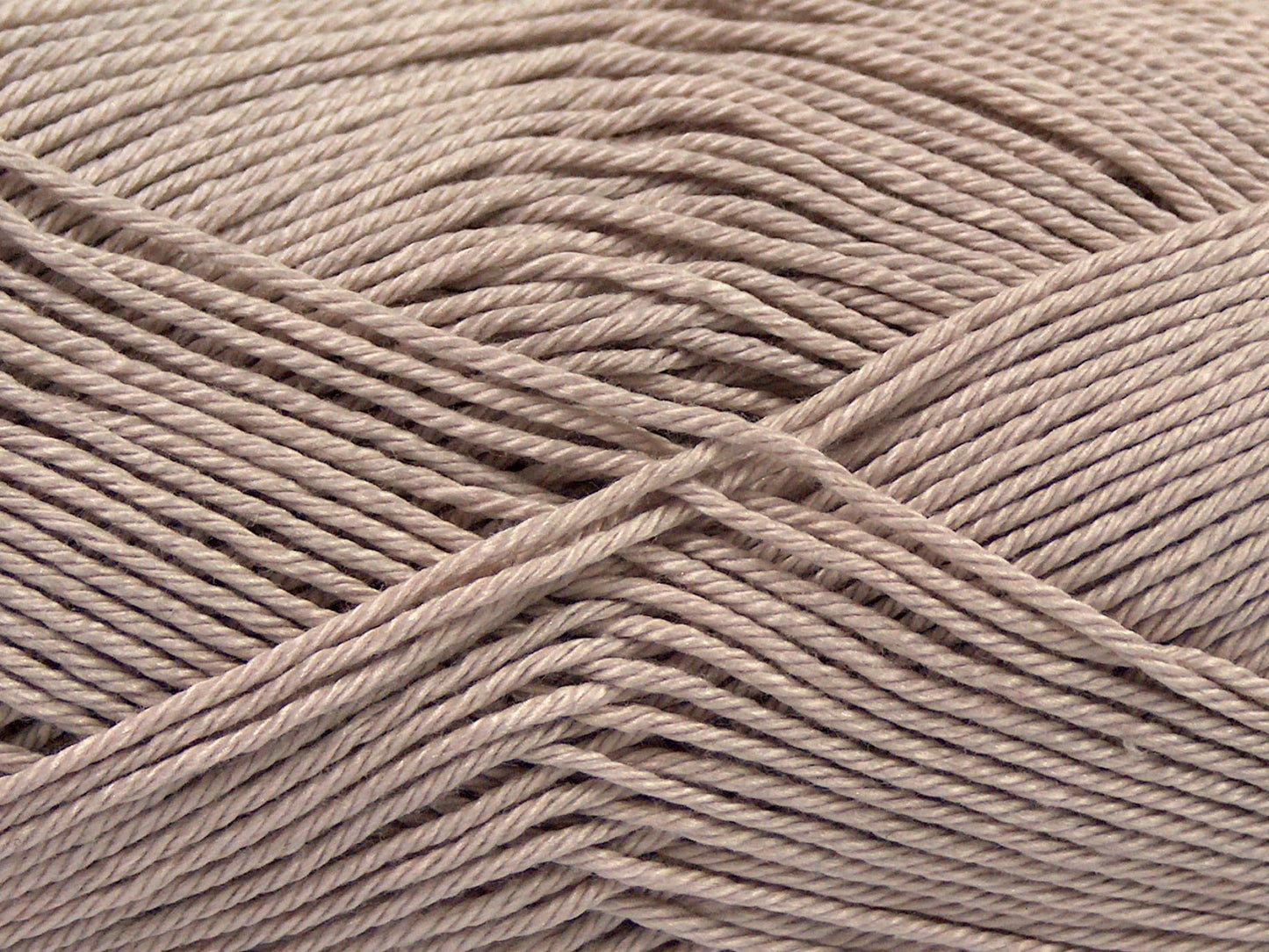 Coton de Gizeh