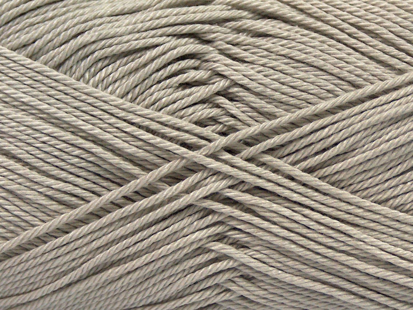 Coton de Gizeh