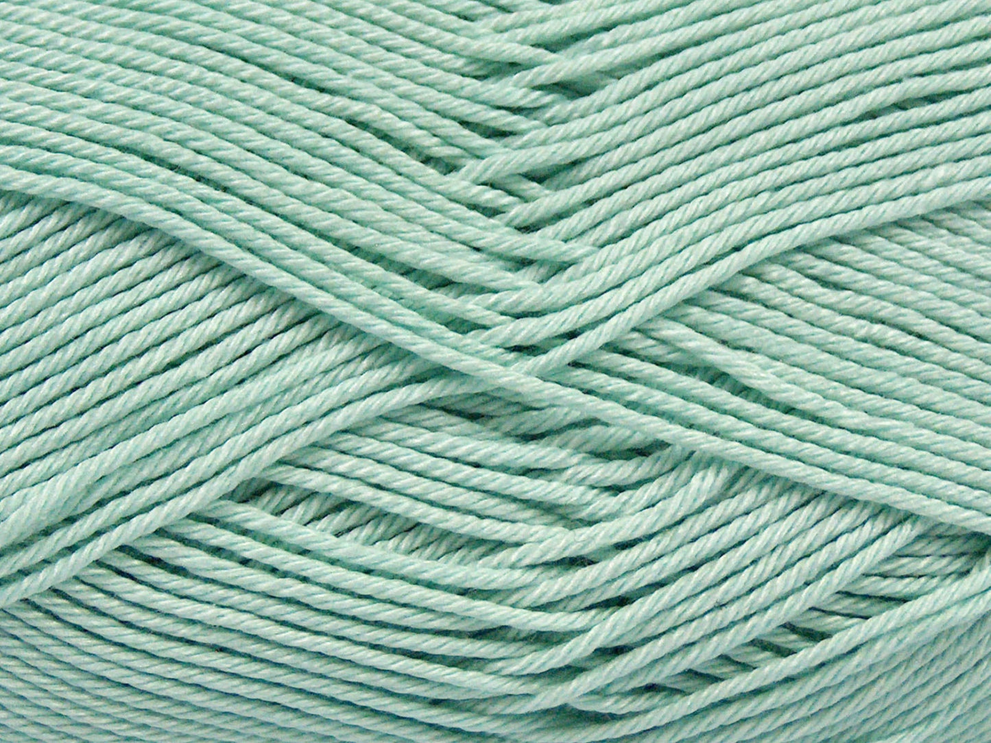 Coton de Gizeh