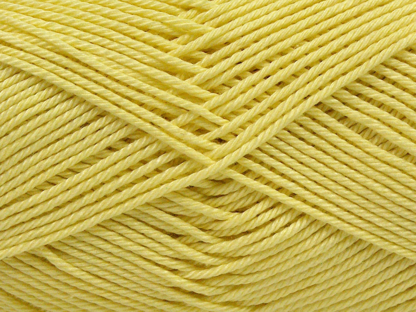 Coton de Gizeh