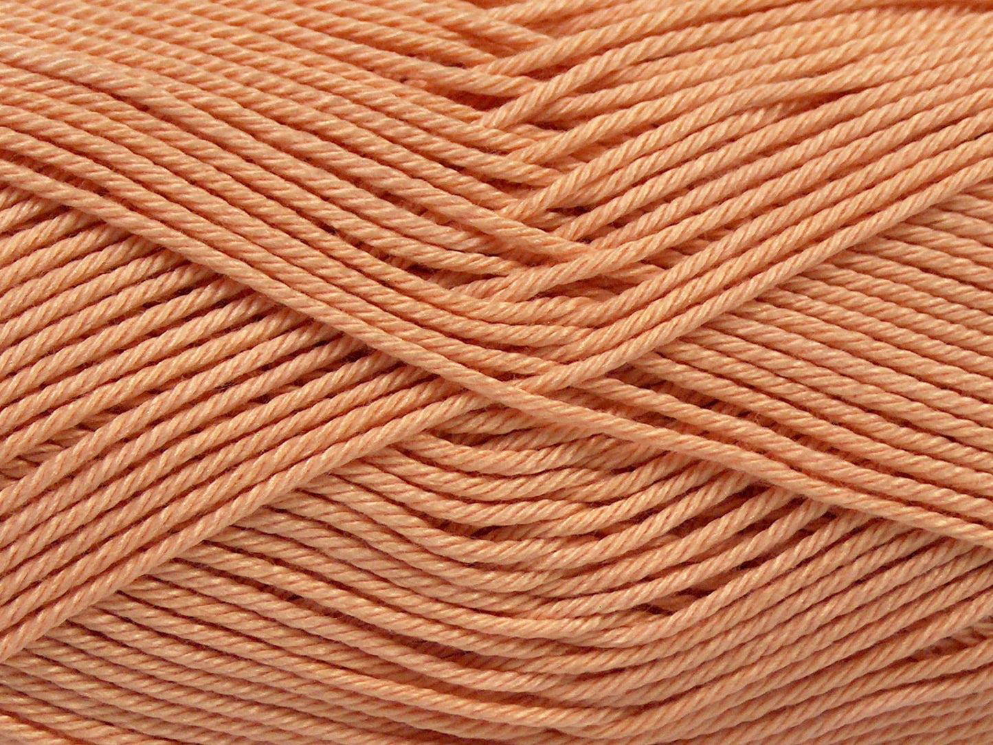 Coton de Gizeh