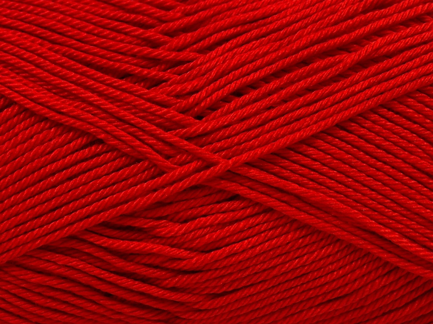Coton de Gizeh