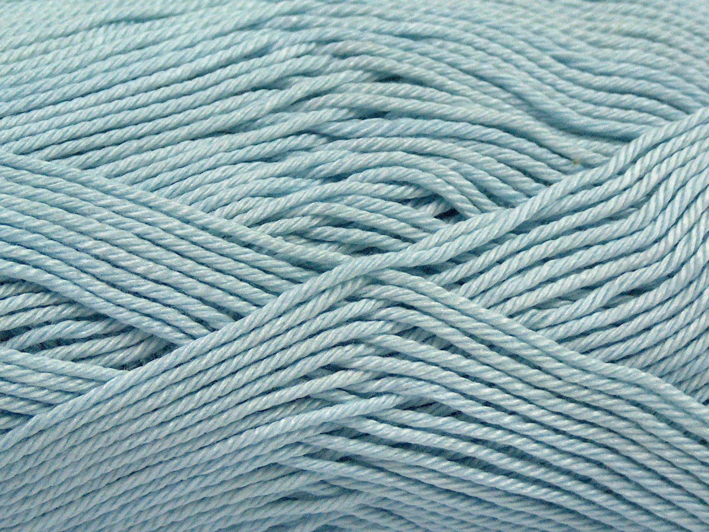 Coton de Gizeh