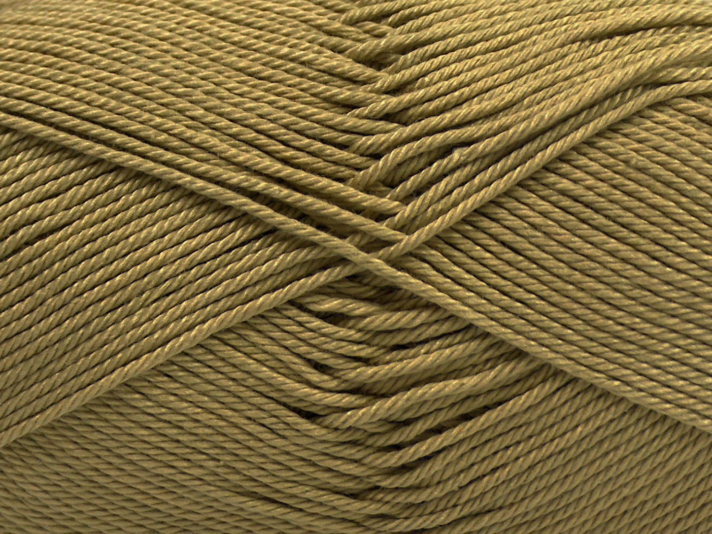 Coton de Gizeh