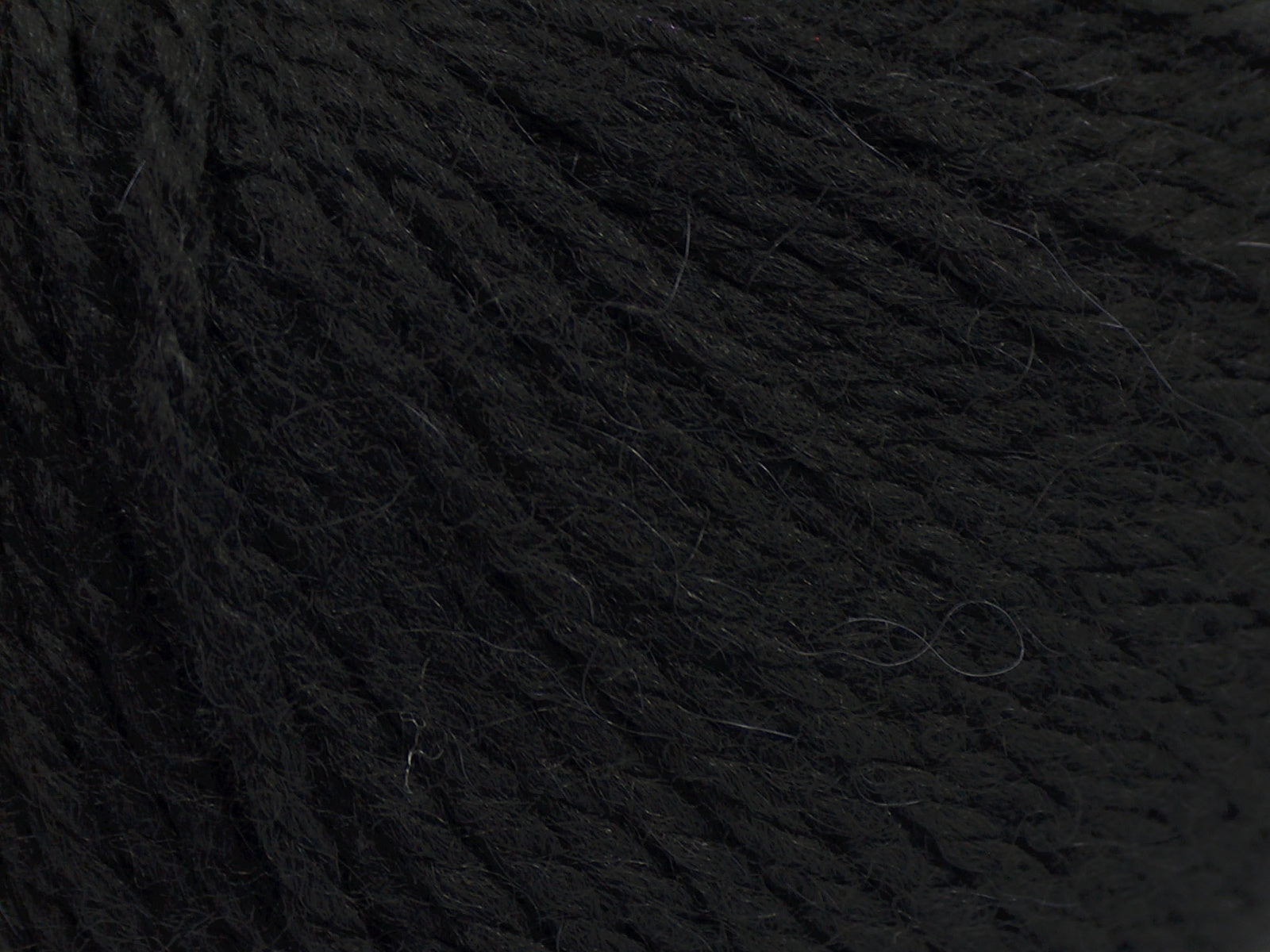 Alpaca Light