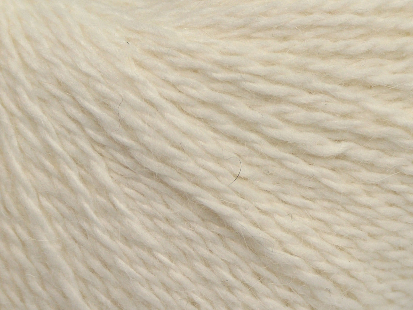 Cachemire angora