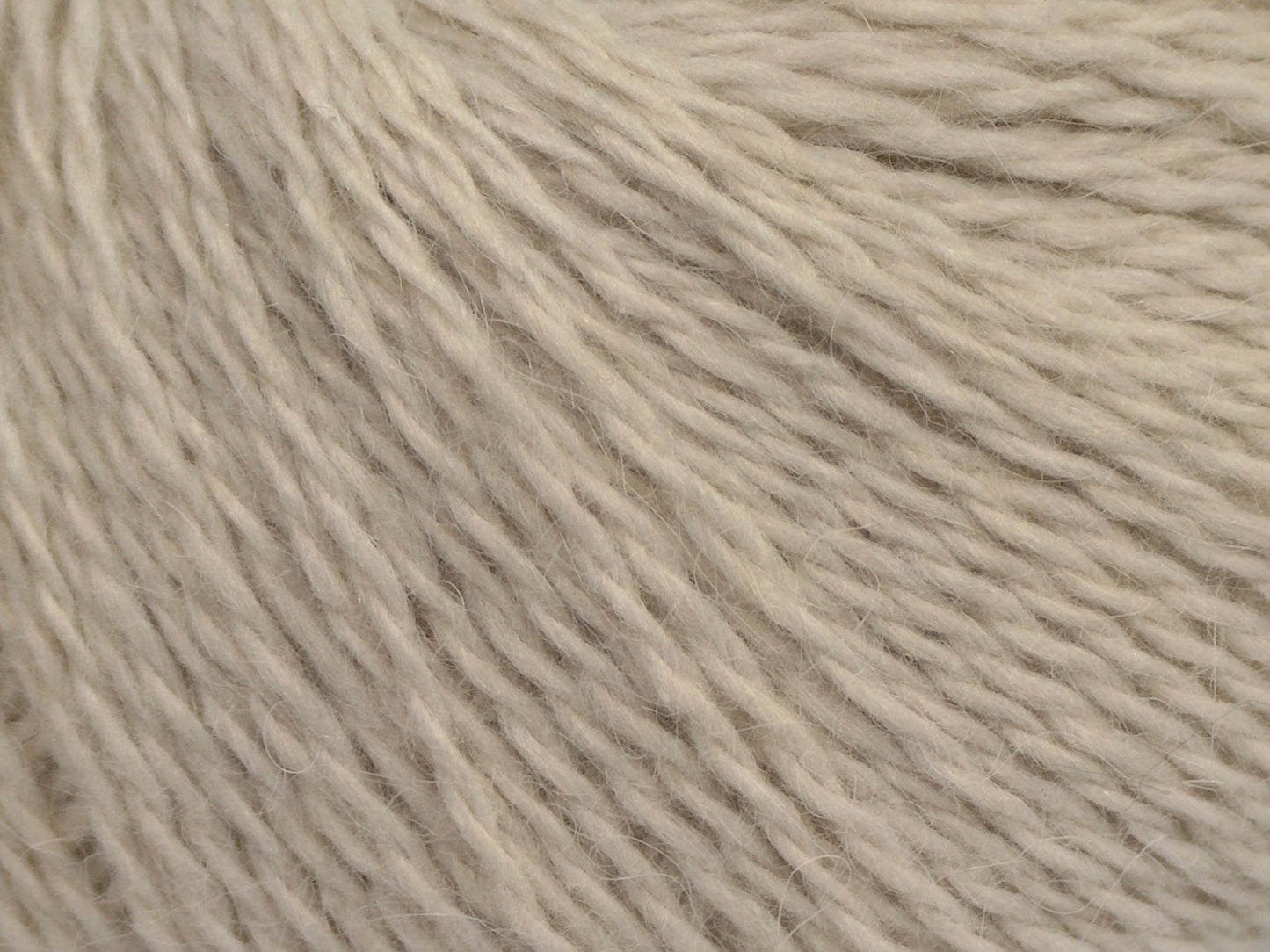 Cachemire angora