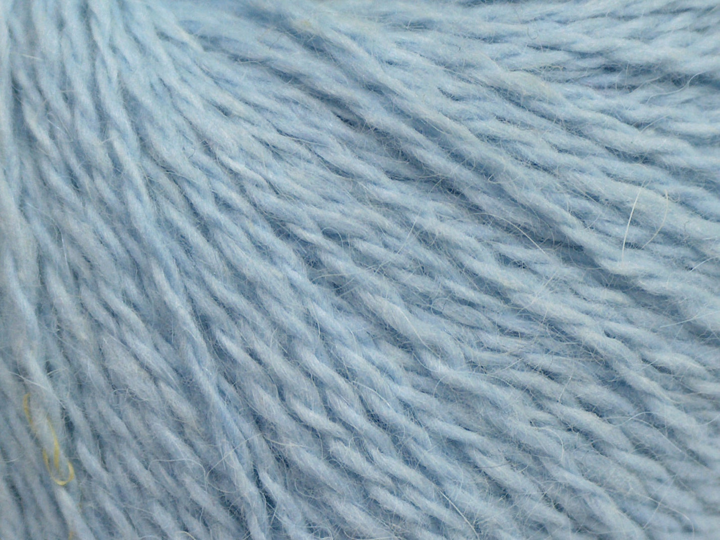 Cachemire angora
