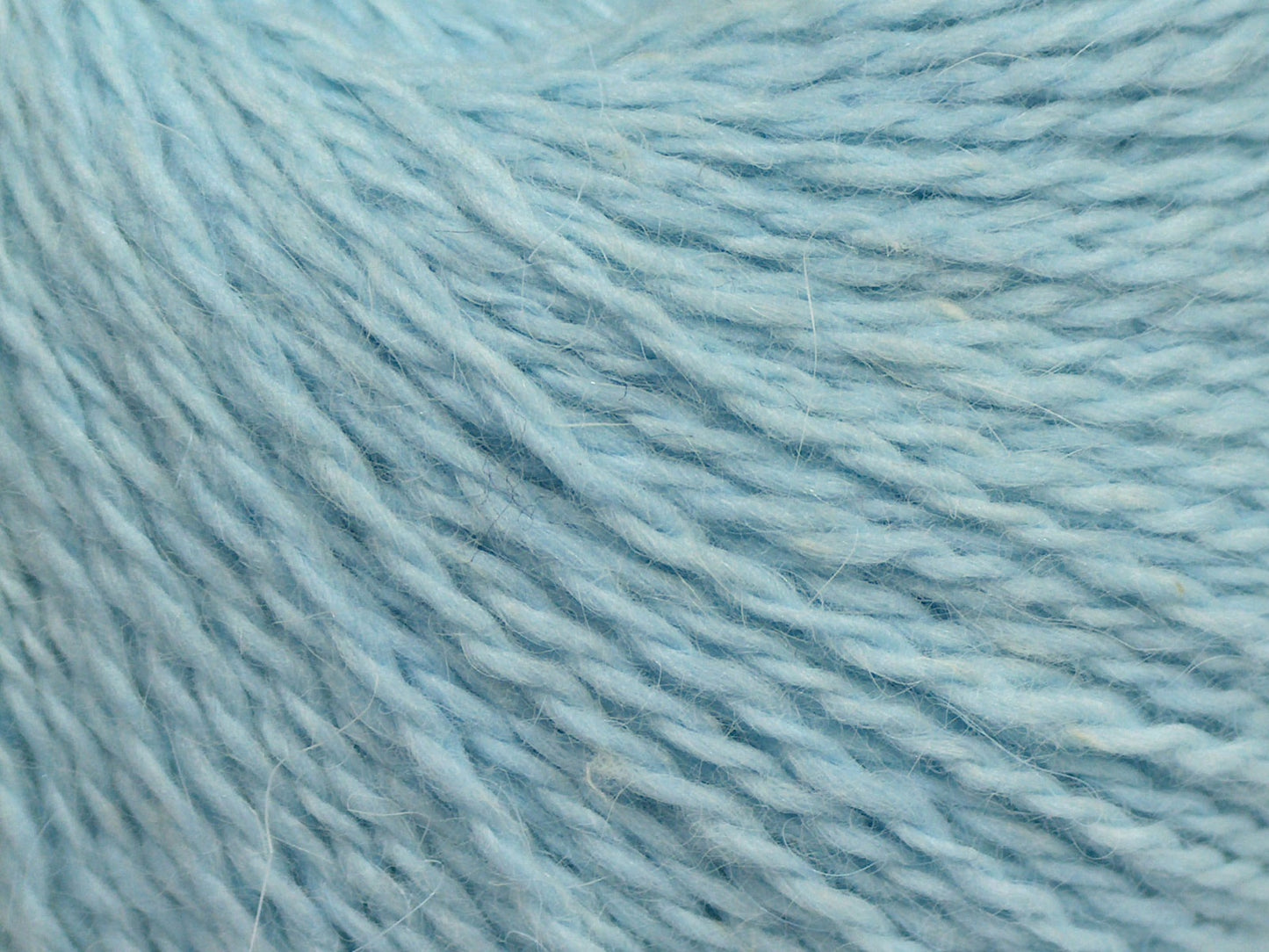 Cachemire angora