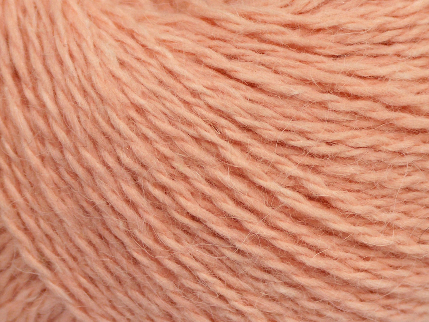 Cachemire angora