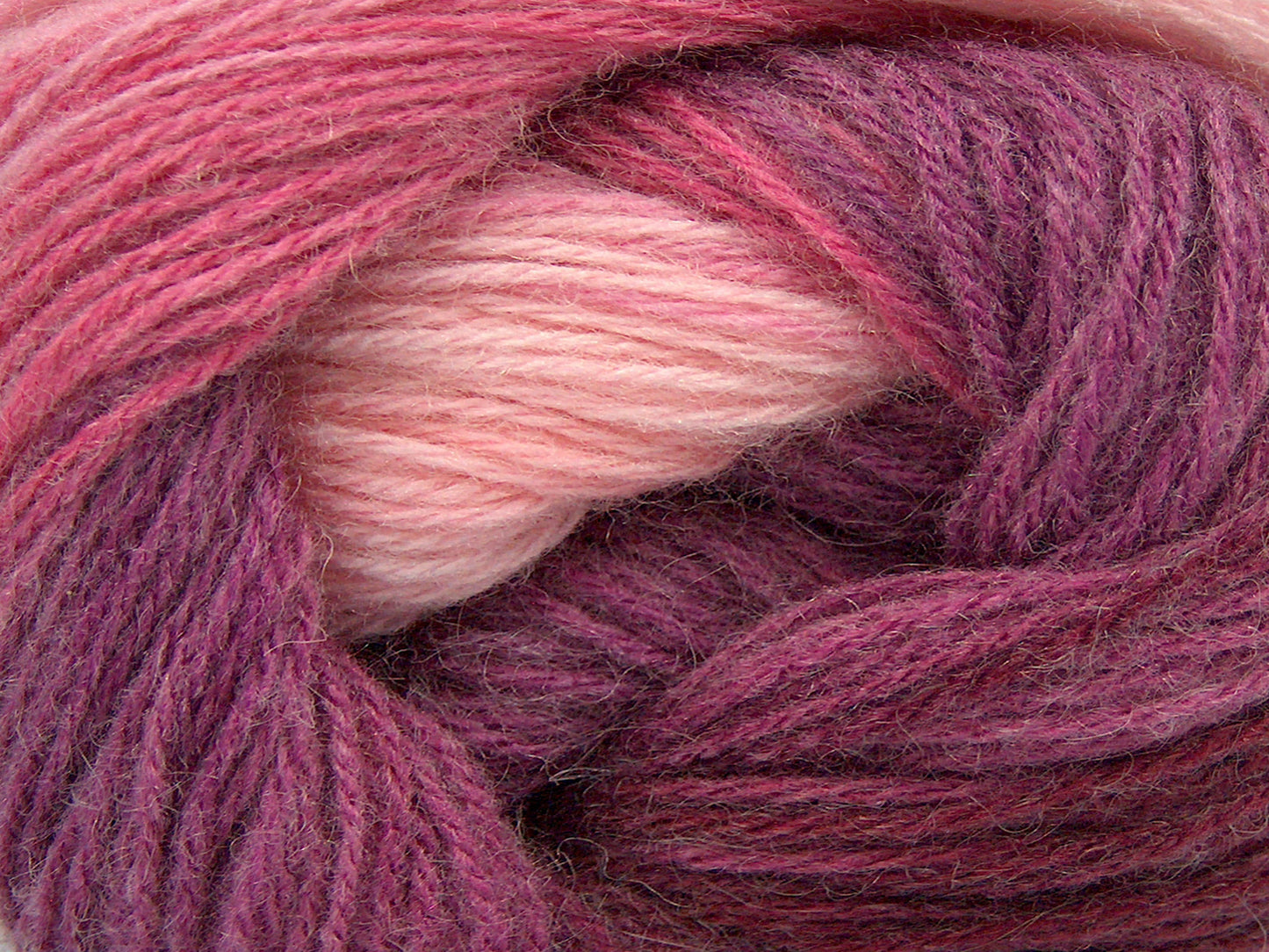Batik angora