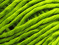 Raffia Twist