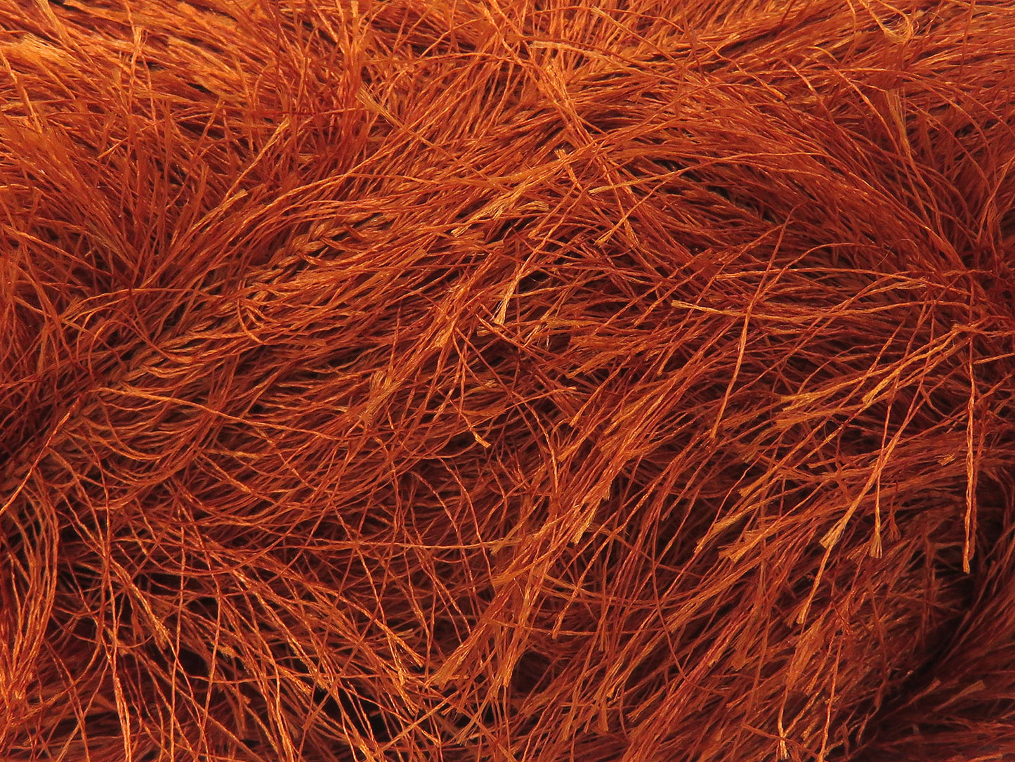 Cils longs 100gr