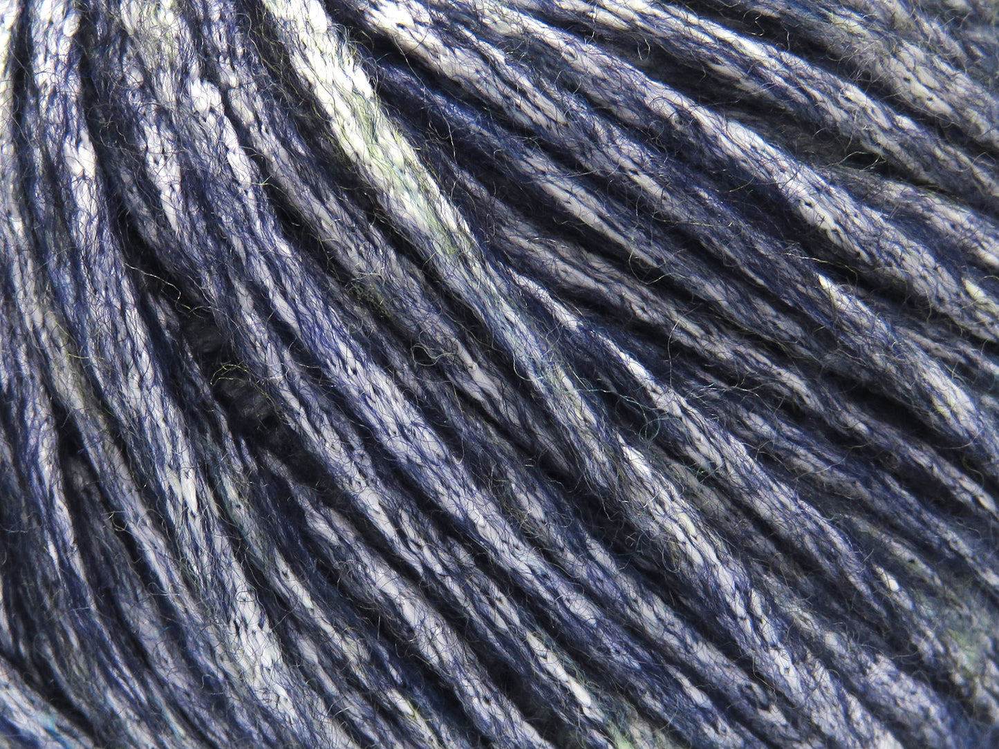 Nautile