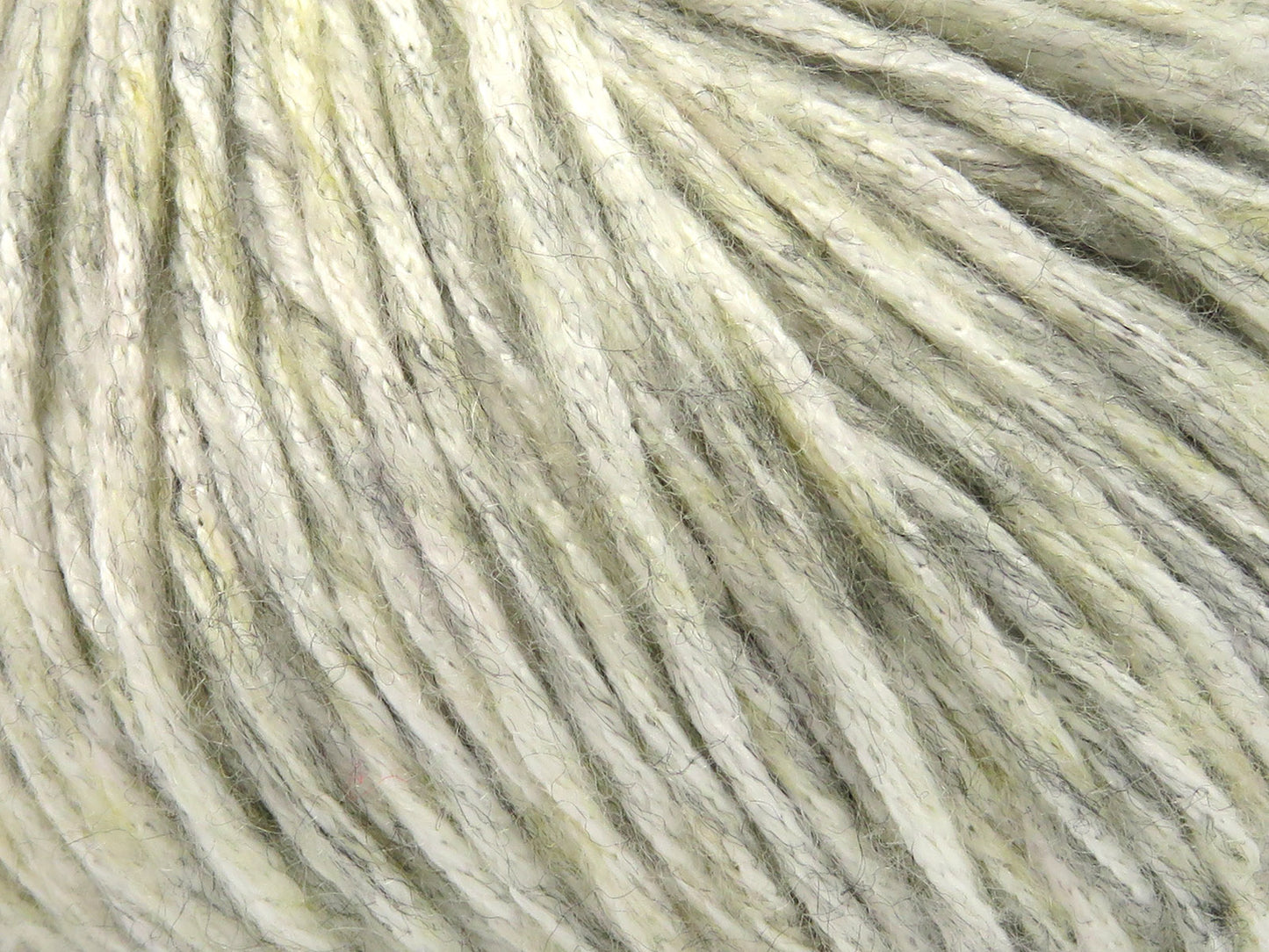 Nautile