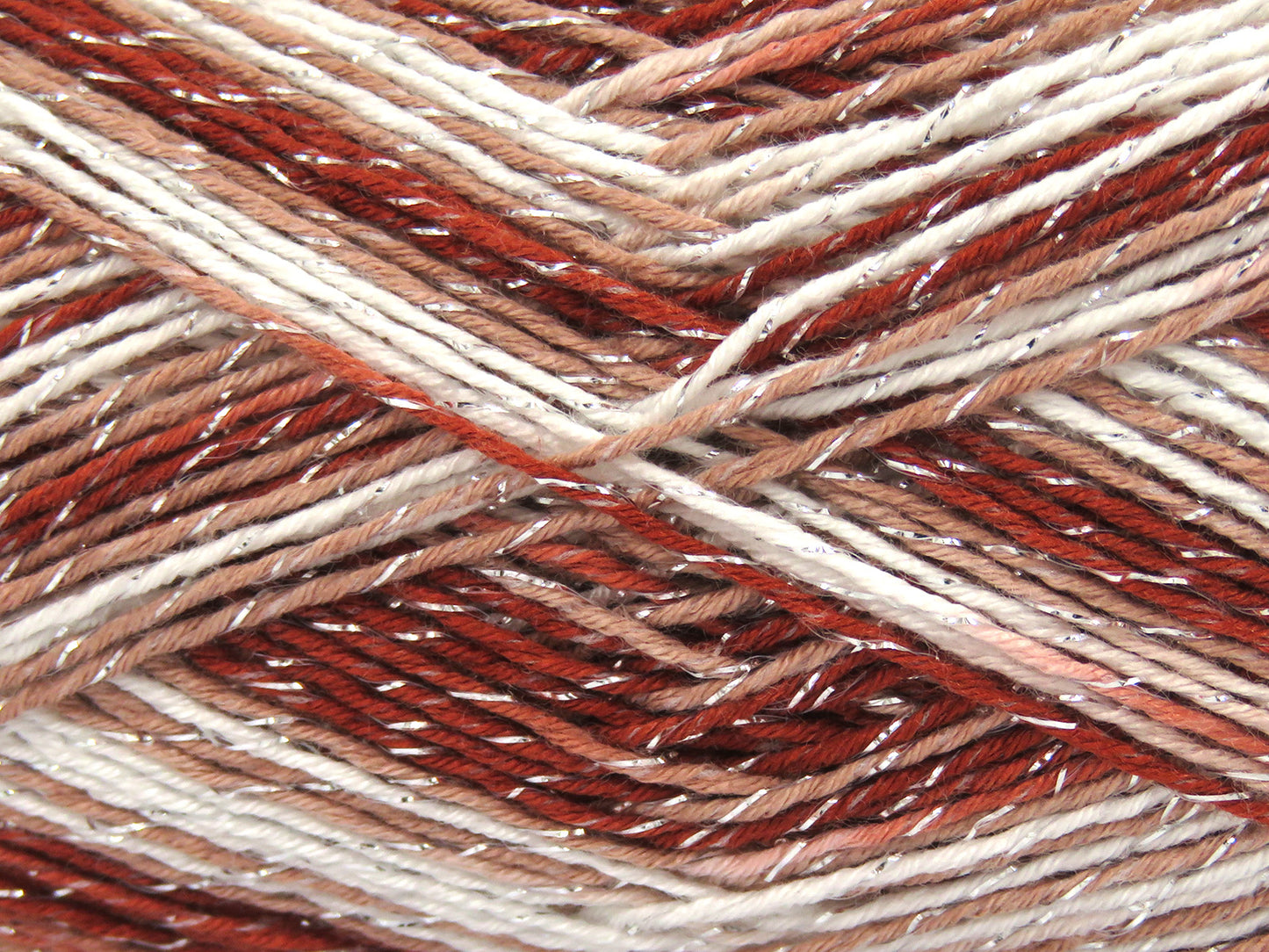 Rose d'été scintillante