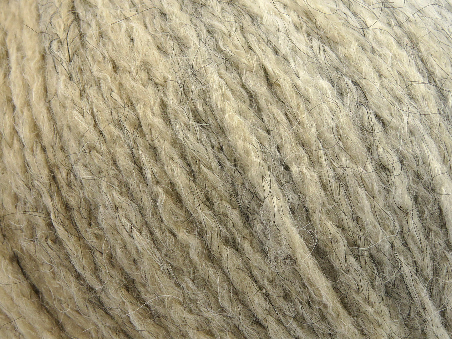 Lumière nordique