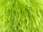 Cils Glitz 50gr