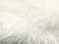 Cils éblouissants
