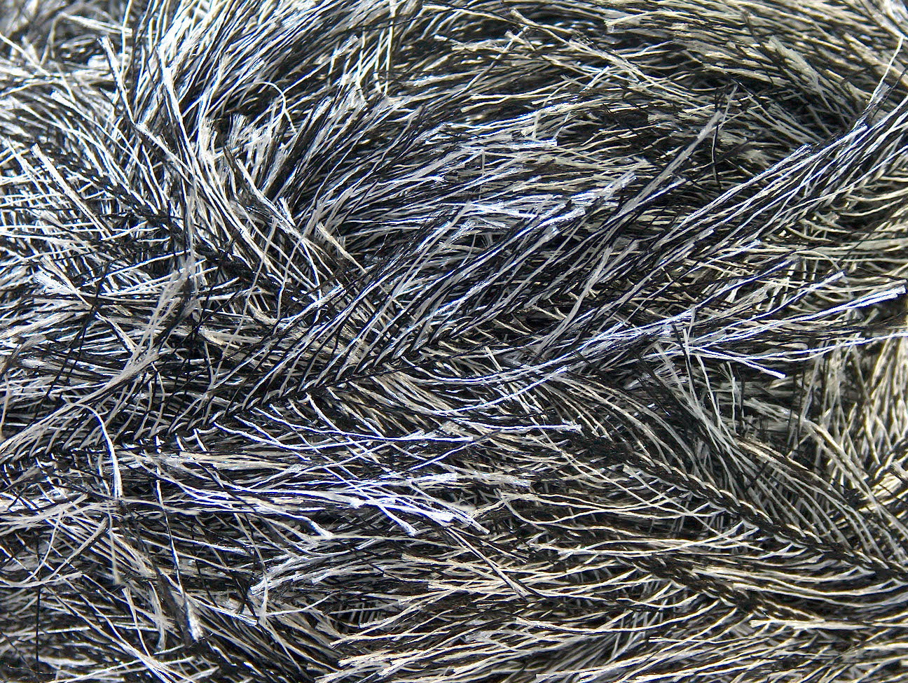 Cils 100gr