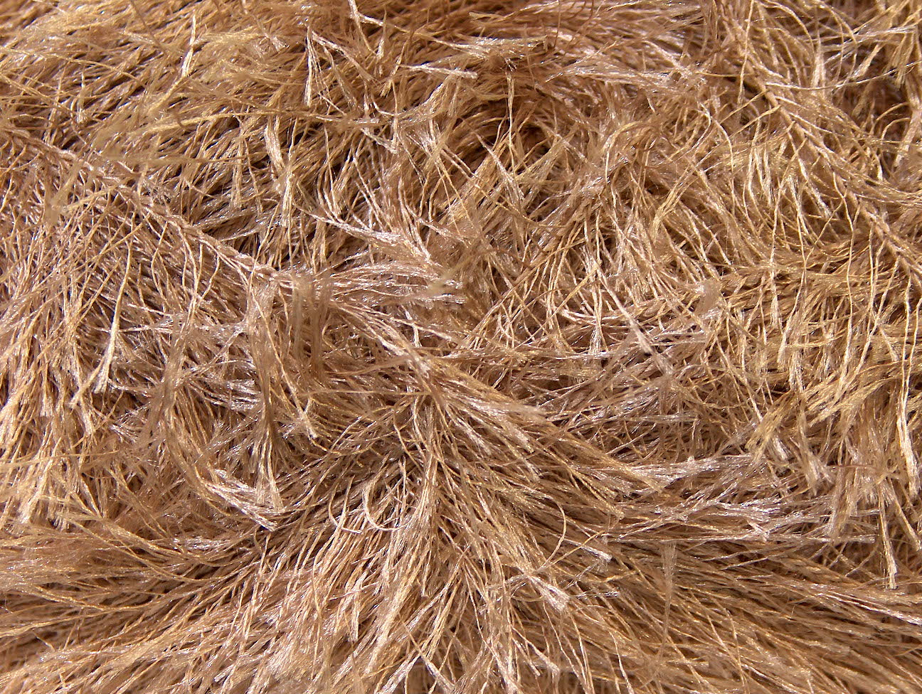 Cils 100gr