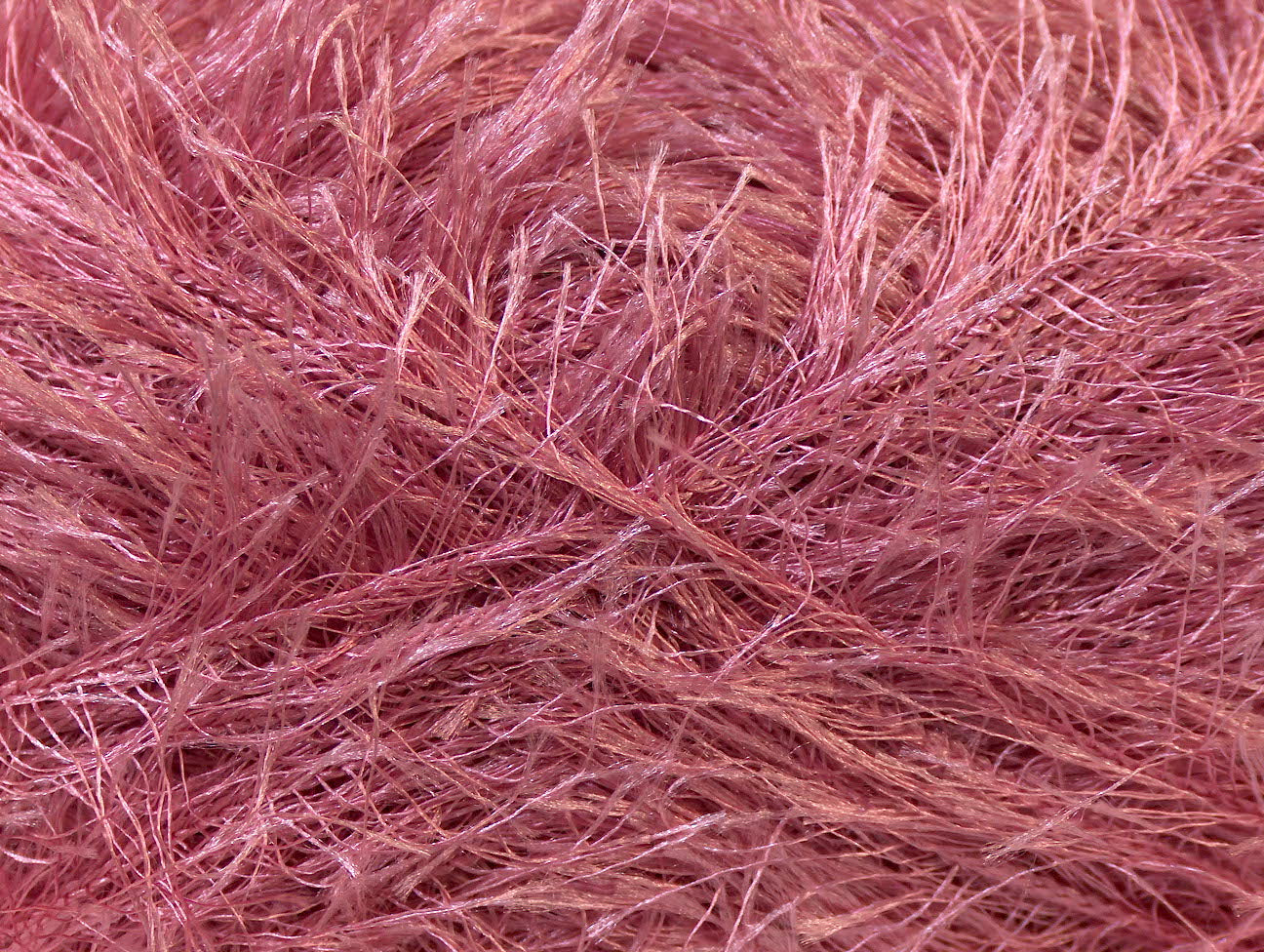 Cils 100gr