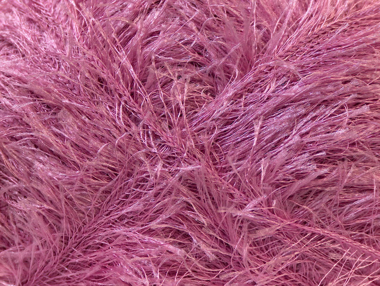 Cils 100gr