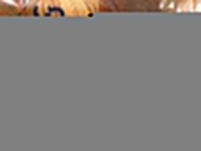 Angora Batik Brown Shades Sku:fnt2-59747