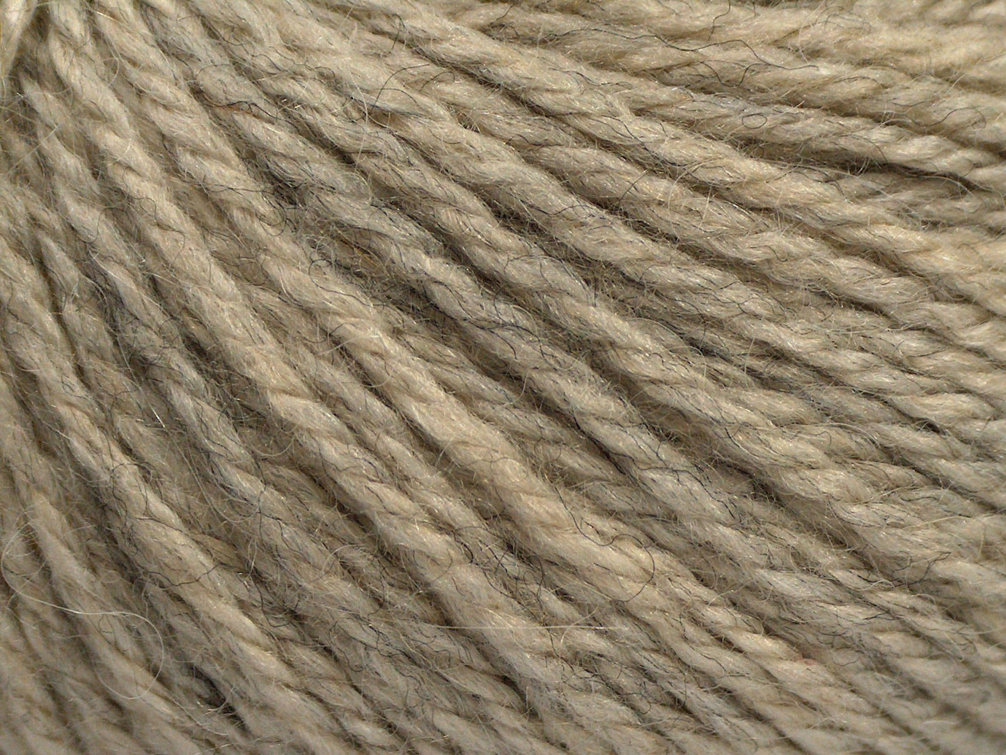Lumière d'alpaga