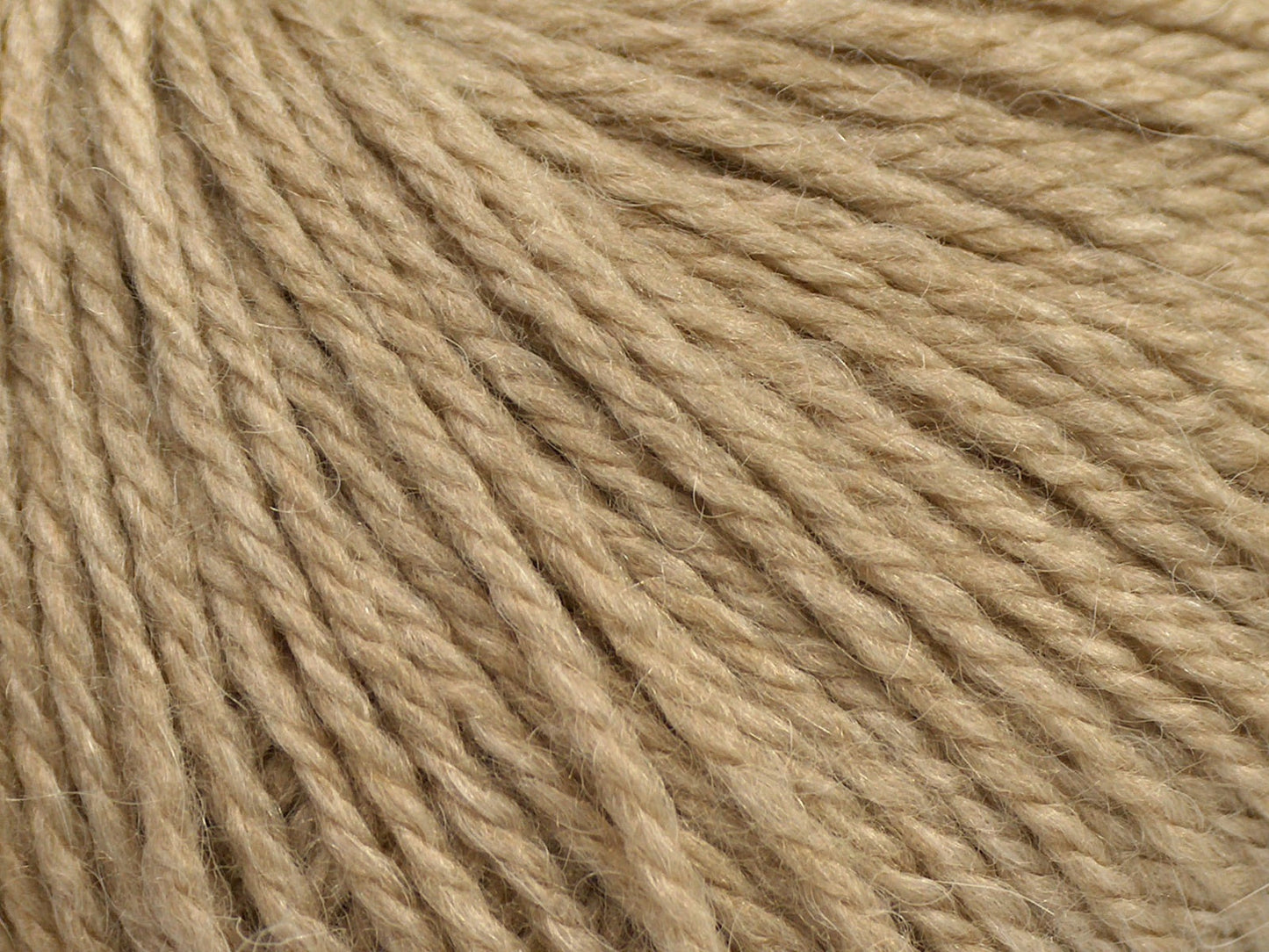 Lumière d'alpaga
