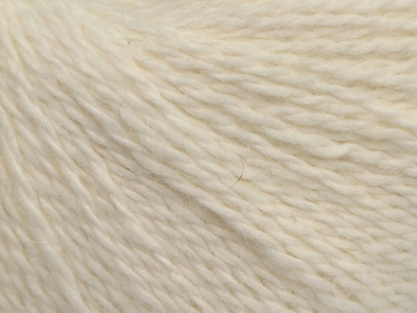 Cachemire angora
