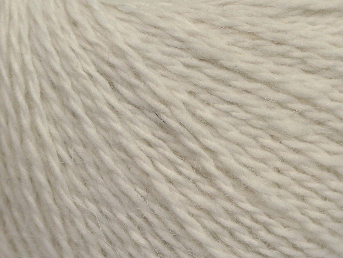 Cachemire angora
