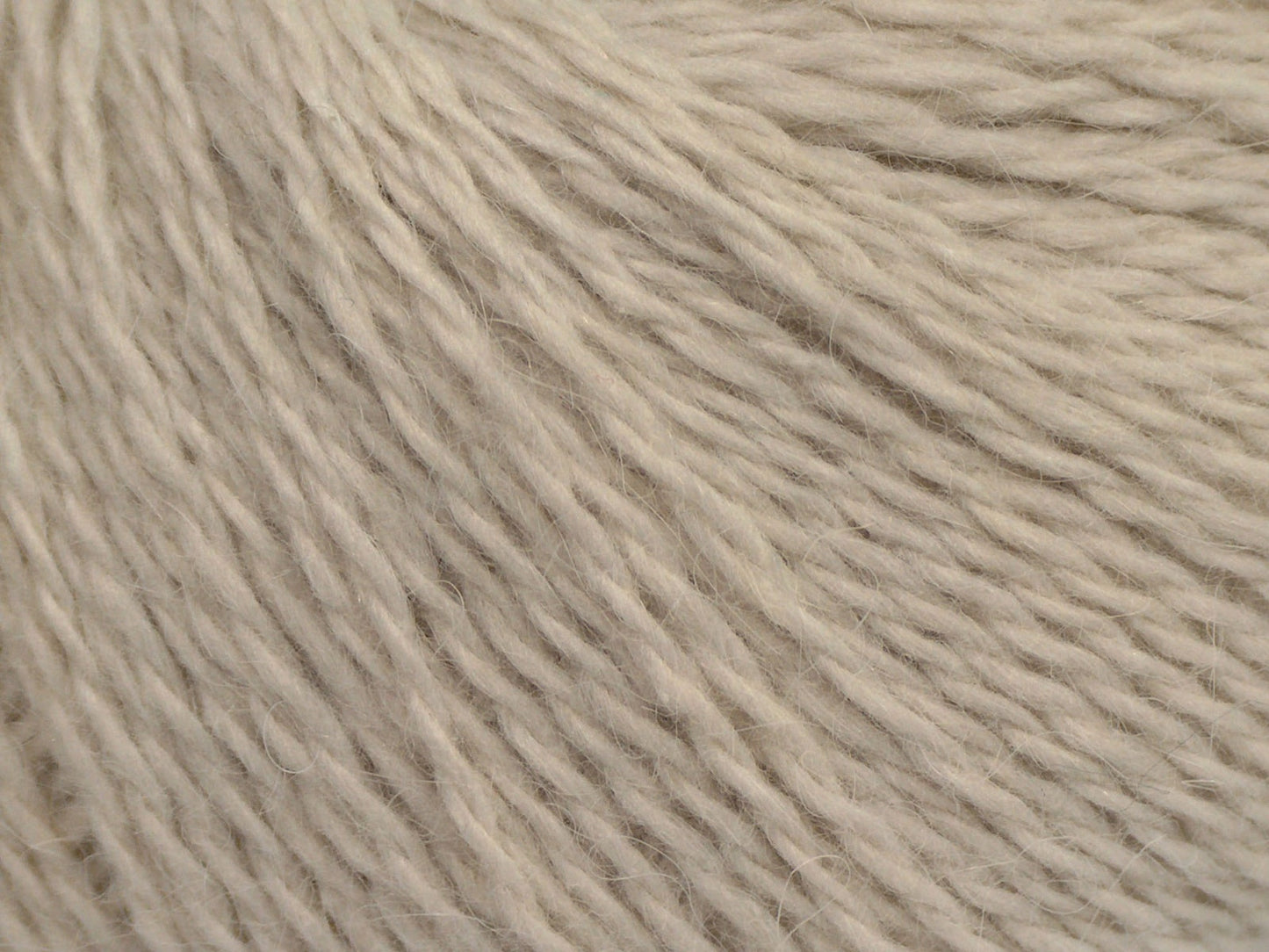 Cachemire angora