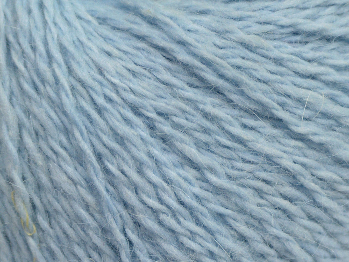 Cachemire angora