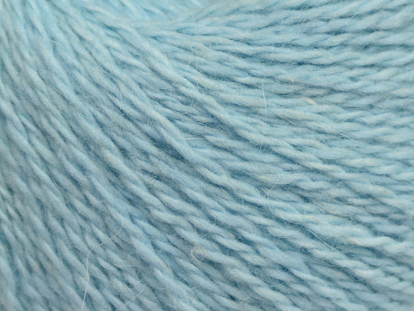 Cachemire angora