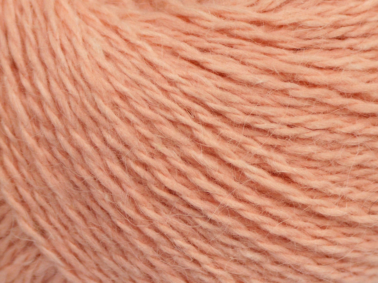 Cachemire angora