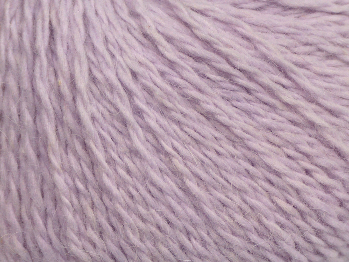 Cachemire angora