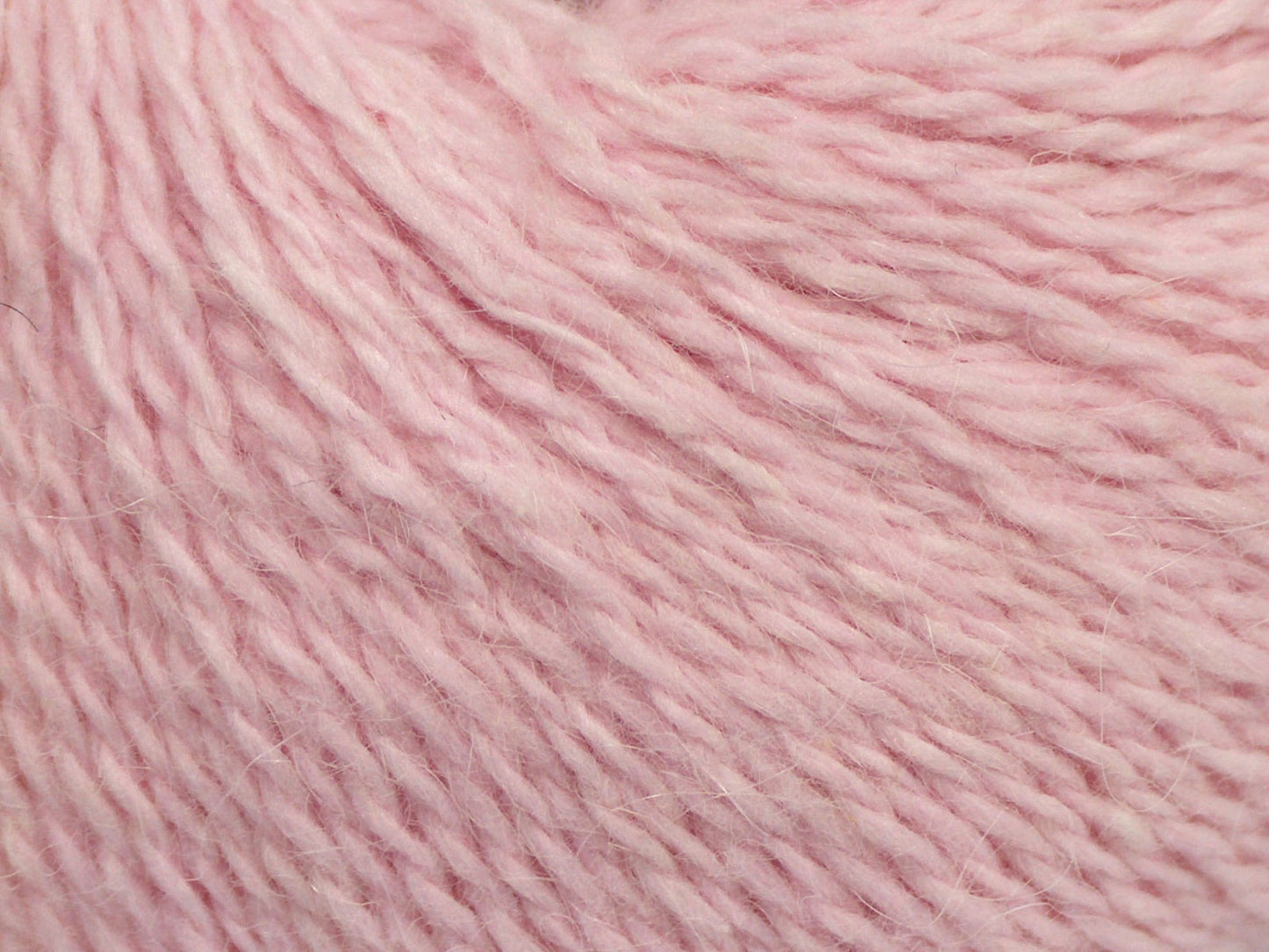 Cachemire angora