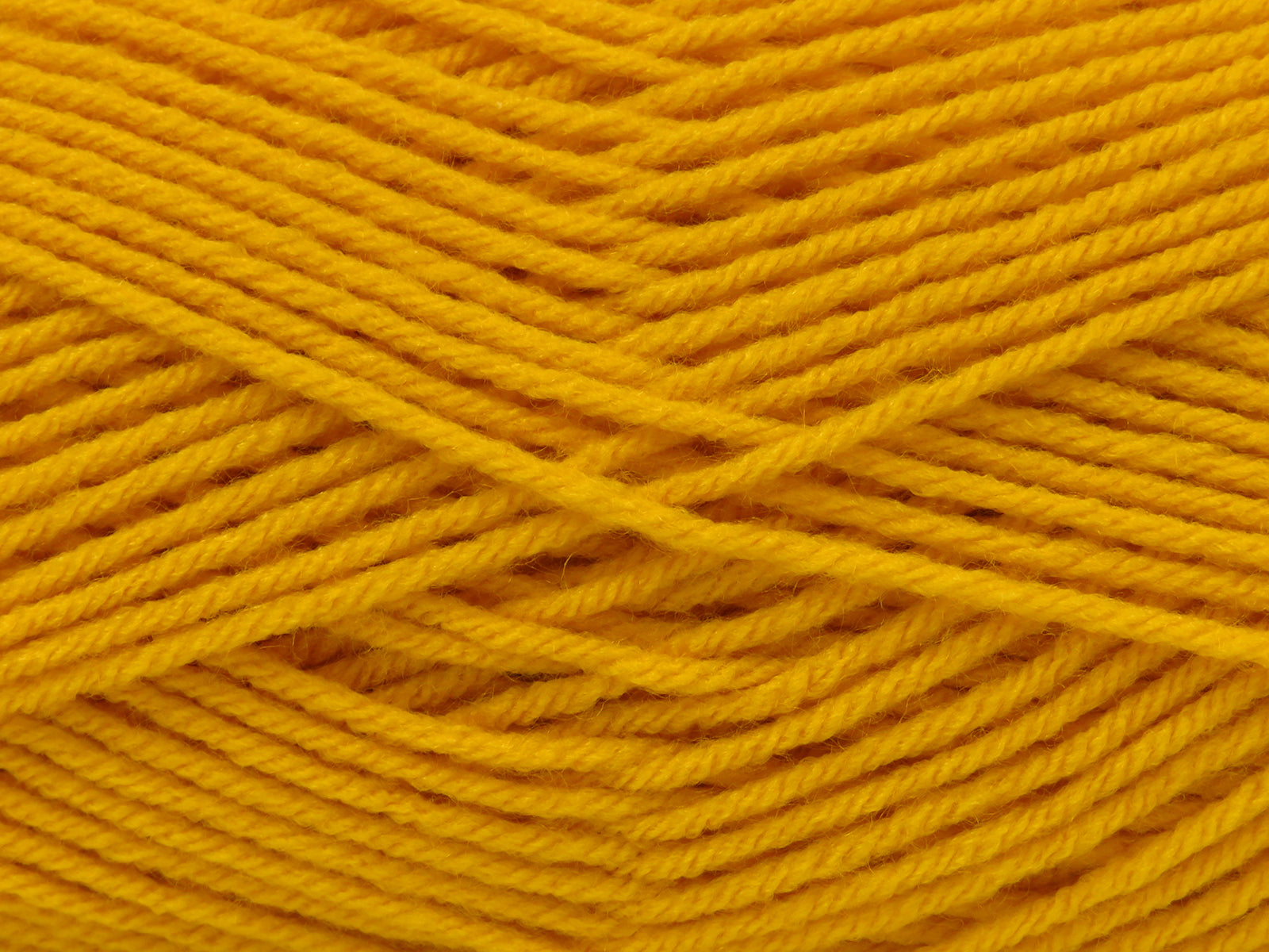 Vineland Yellow fnt2-77933