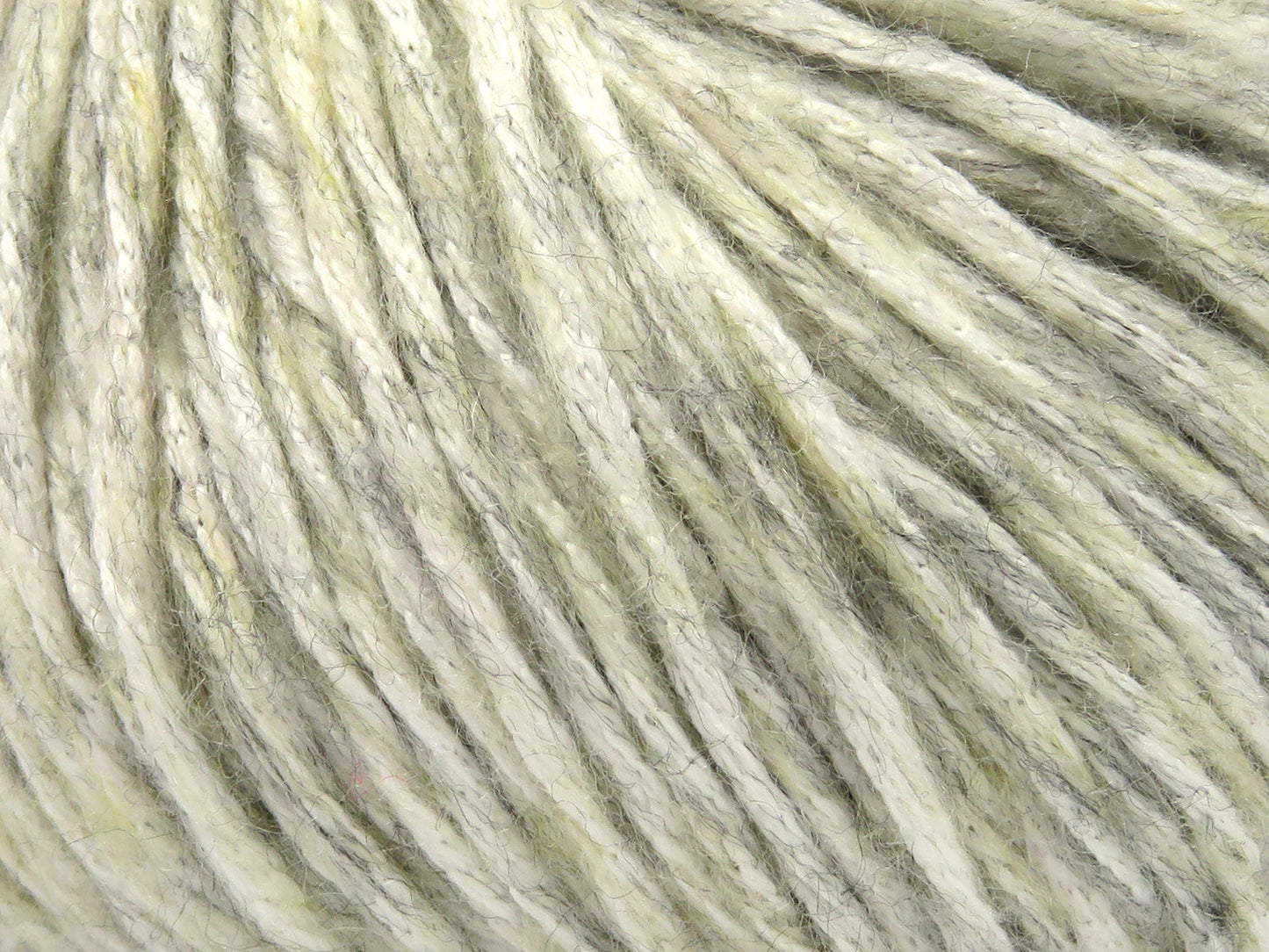 Nautile
