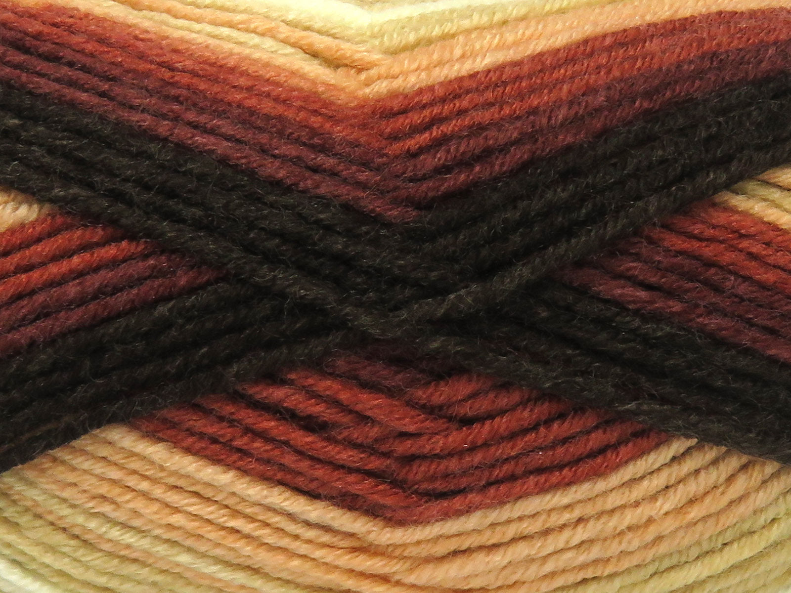 Nice Baby Brown Shades, Cream Shades fnt2-83498