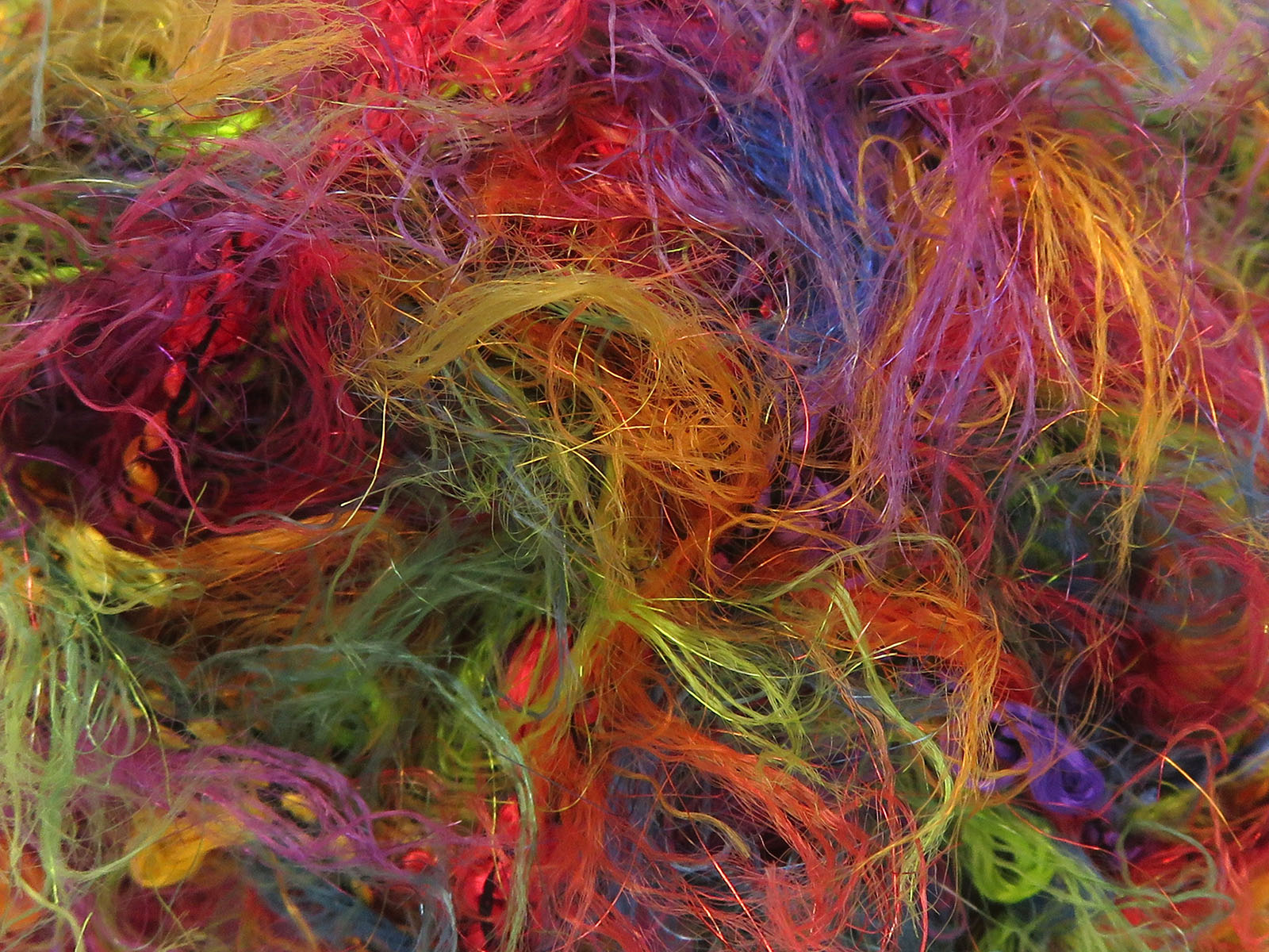 Murray Rainbow fnt2-84677